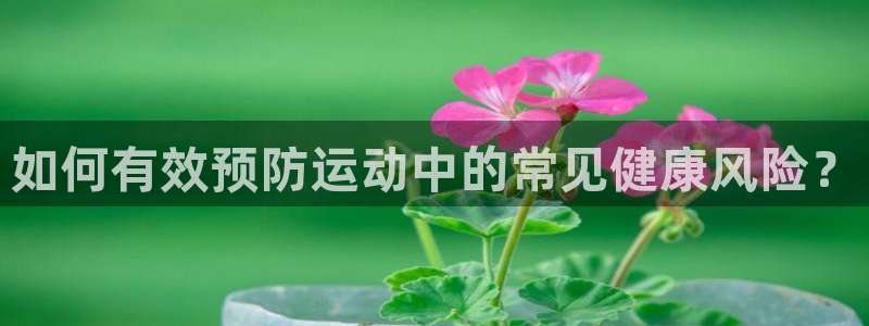 风速体育app官方下载