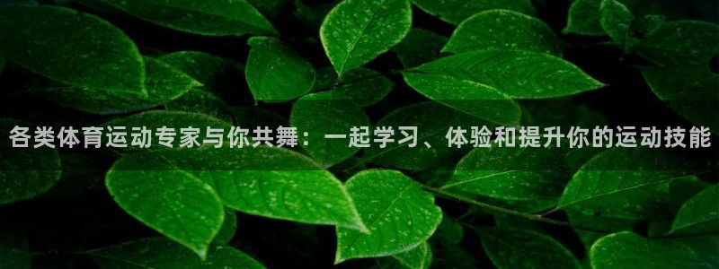风速体育直播app：各类体育运动专家与你共舞：一起学习、体验和提升你的运动技能