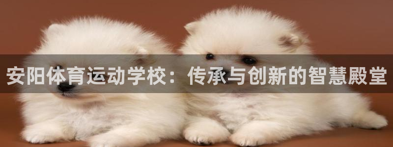 风速体育cba直播：安阳体育运动学校：传承与创新的智慧殿堂