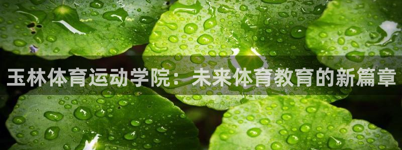 风速体育nba免费直播：玉林体育运动学院：未来体育教育的新篇章