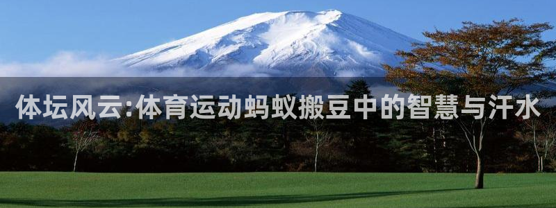 风速体育：体坛风云:体育运动蚂蚁搬豆中的智慧与汗水