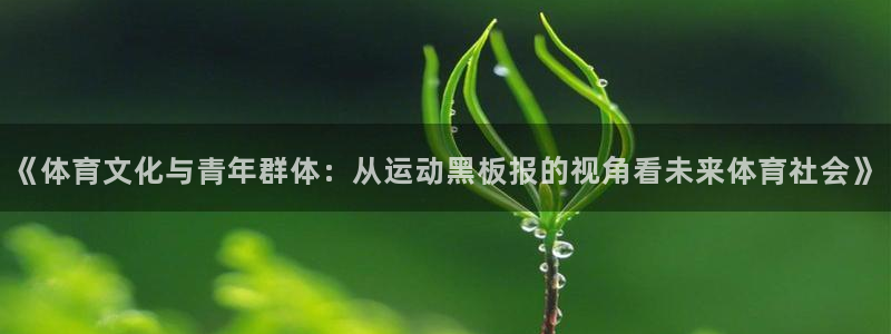 风速体育官网：《体育文化与青年群体：从运动黑板报的视角看未来体育社会》