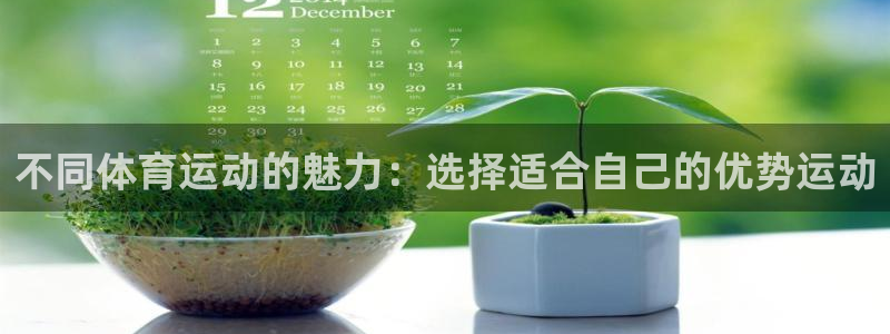 风速体育nba直播：不同体育运动的魅力：选择适合自己的优势运动