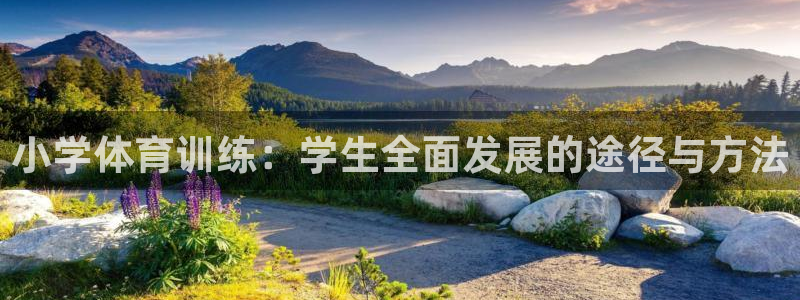 风速体育app下载官网最新版：小学体育训练：学生全面发展的途径与方法