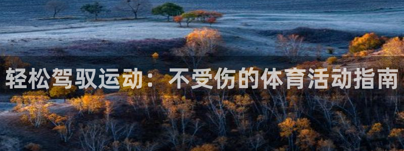 风速体育app下载官网最新版：轻松驾驭运动：不受伤的体育活动指南