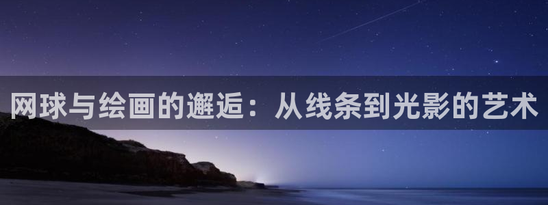 风速体育app下载安装最新版本：网球与绘画的邂逅：从线条到光影的艺术
