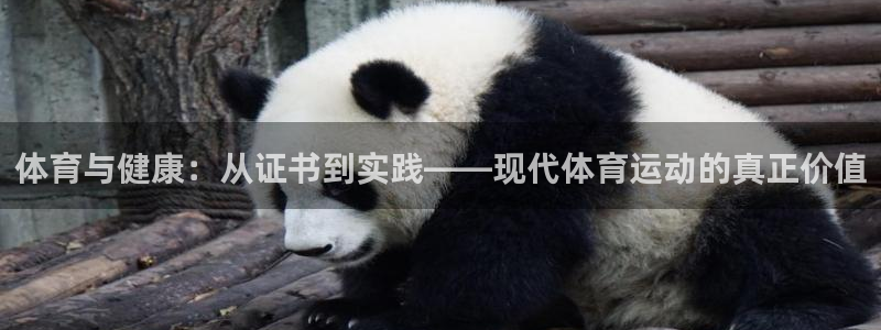 风速体育app下载官网最新版：体育与健康：从证书到实践——现代体育运动的真正价值