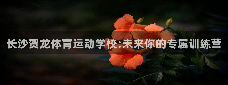 风速体育：长沙贺龙体育运动学校:未来你的专属训练营
