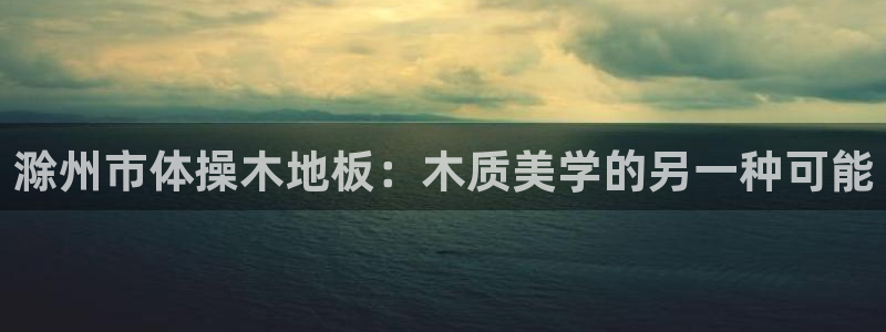 风速体育app下载官网最新版：滁州市体操木地板：木质美学的另一种可能