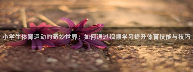 风速体育：小学生体育运动的奇妙世界：如何通过视频学习提升体育技能与技巧