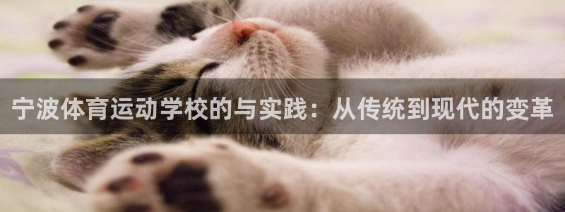 下载风速体育：宁波体育运动学校的与实践：从传统到现代的变革