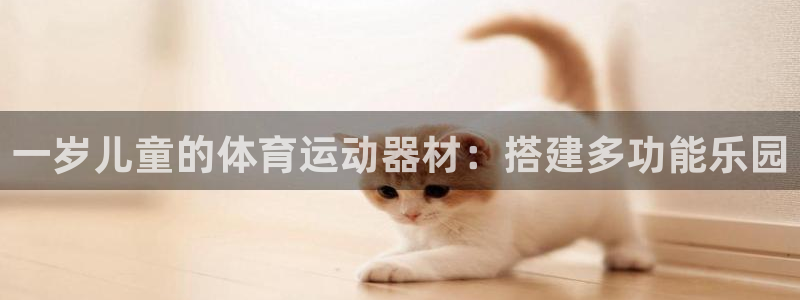 下载风速体育：一岁儿童的体育运动器材：搭建多功能乐园